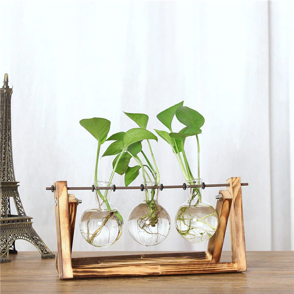 Unique Plant Holder
