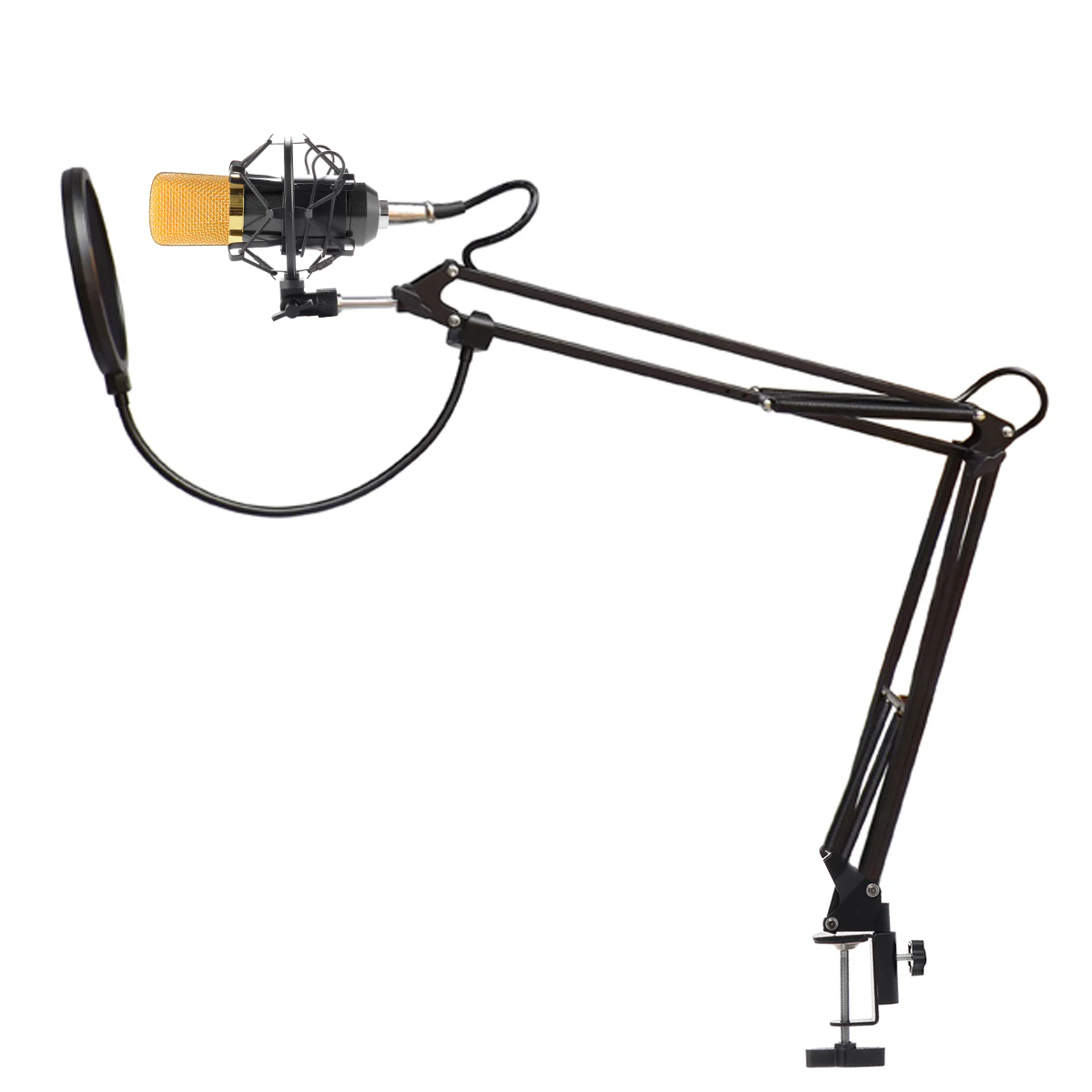 Complete Mic Stand Pop Filter Kit