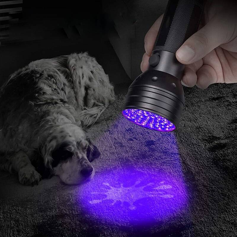 uv-led-black-light-torch-GAokCSlpqW2vqKuA4gt6.jpg