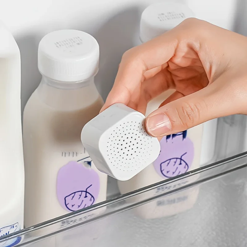 Refrigerator Air Purifier