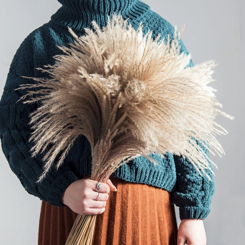 Decorative Dried Pampas Grass