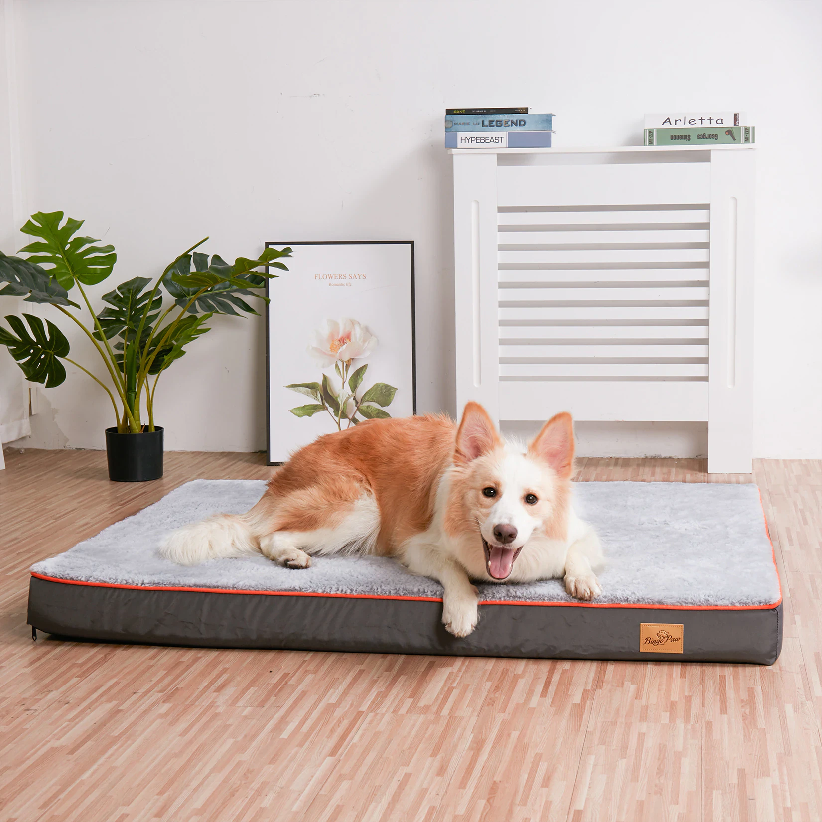 Memory Foam Pet Bed