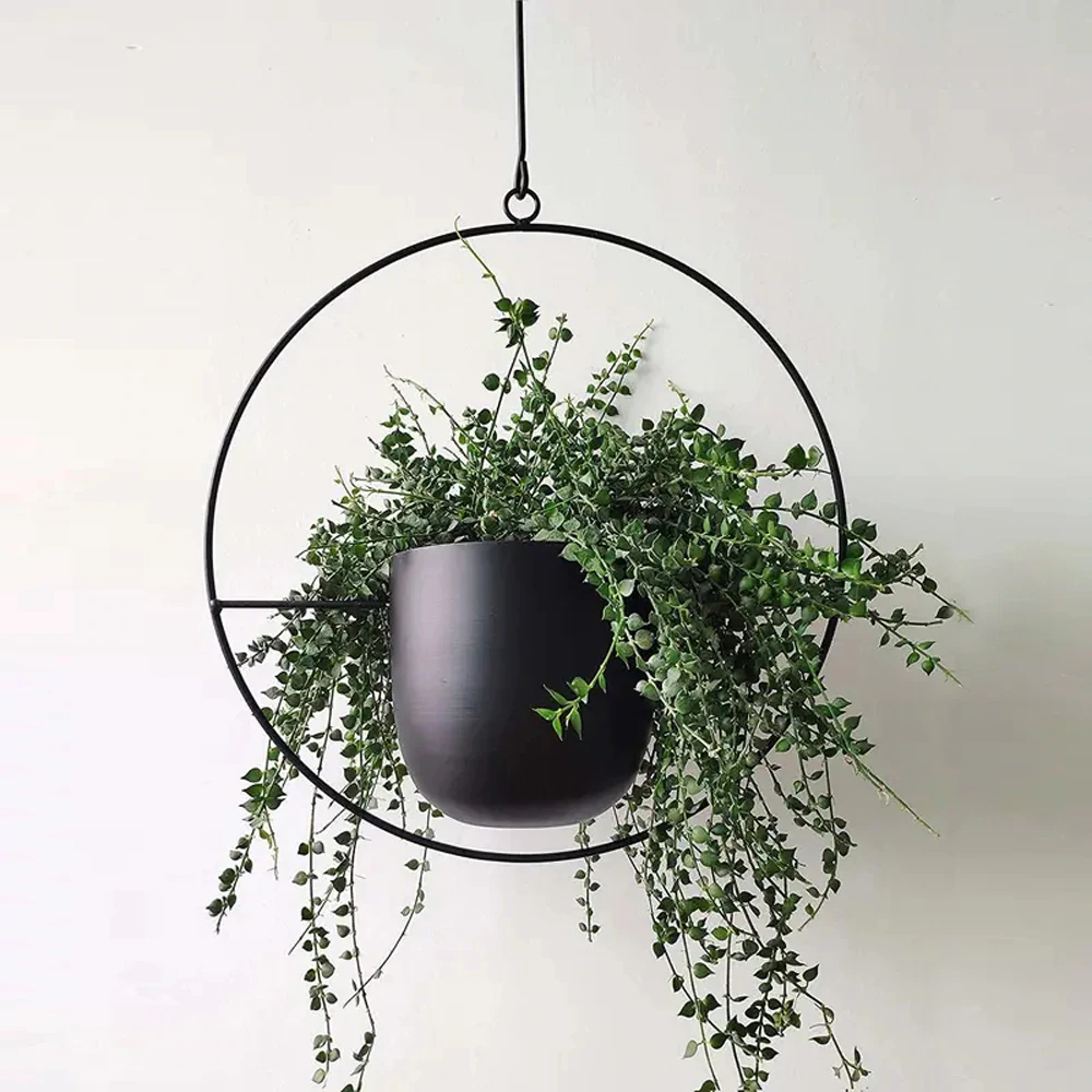 Iron Hanging Planter