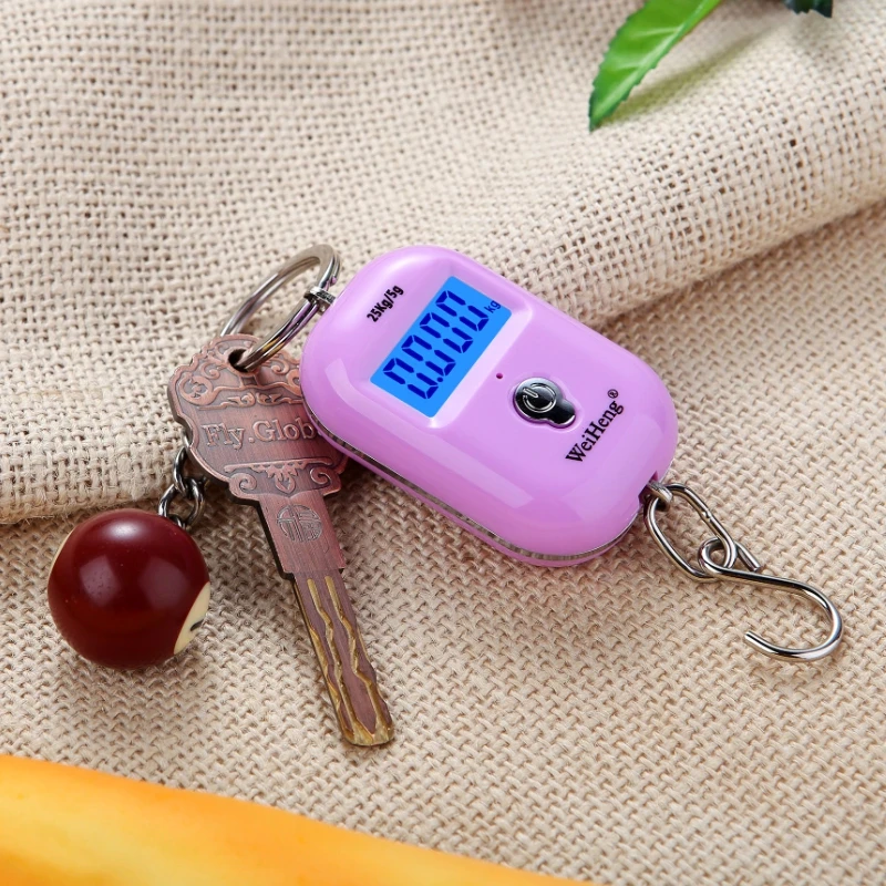 Mini Luggage Scale