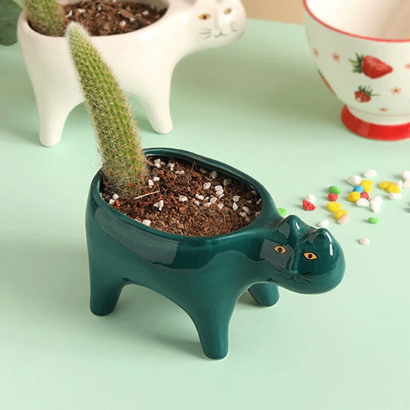 Cat Succulent Ceramic Pot