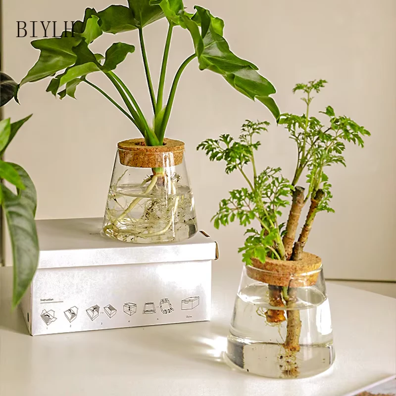 Hydroponic Glass Vase
