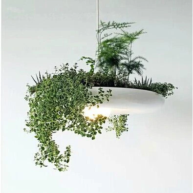 Hanging Terrarium Light