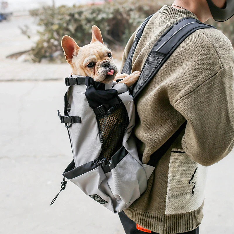 Dog Carry Backpack