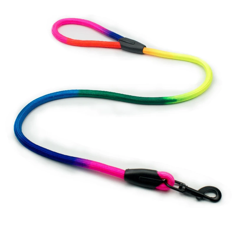 Rainbow Dog Leash