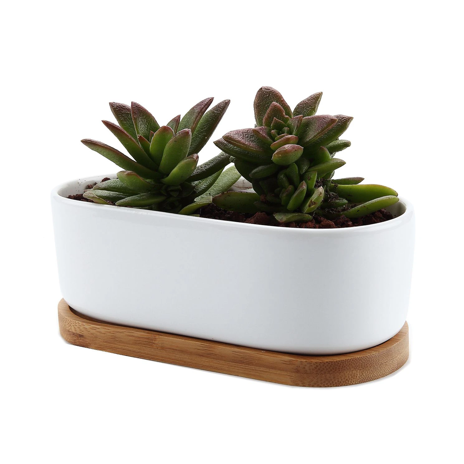 Bamboo Ceramic Planter