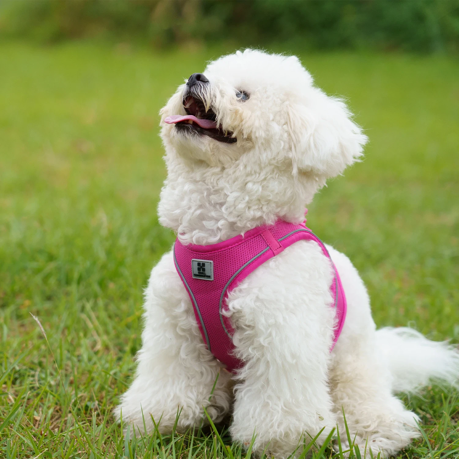Reflective Dog Harness Set