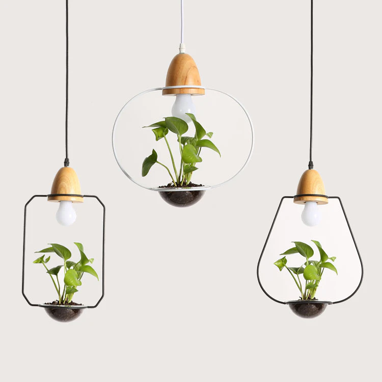 Botanical Lighting