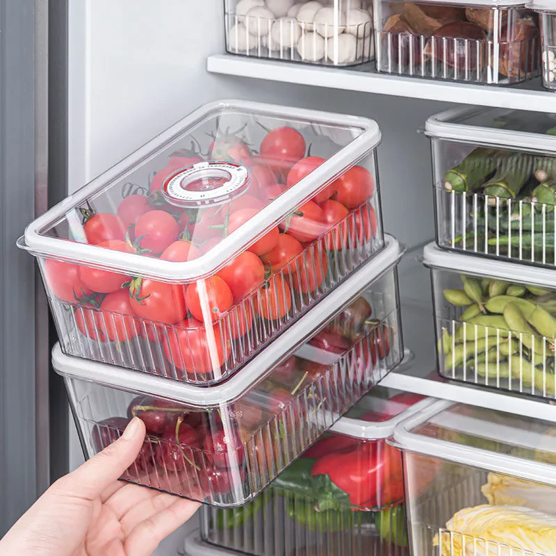Sealed Fridge Container