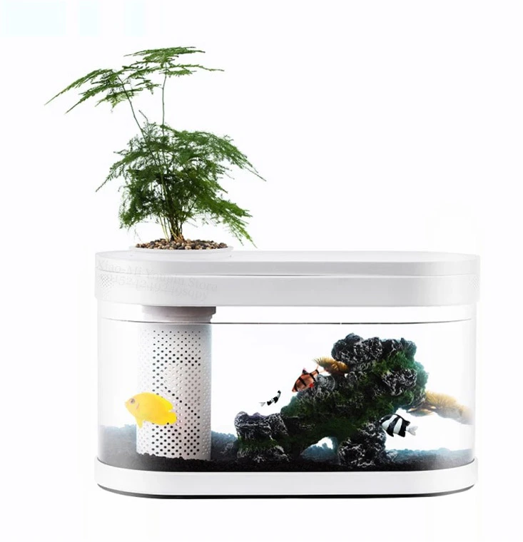 Natural Filtered Small Fish Tank
