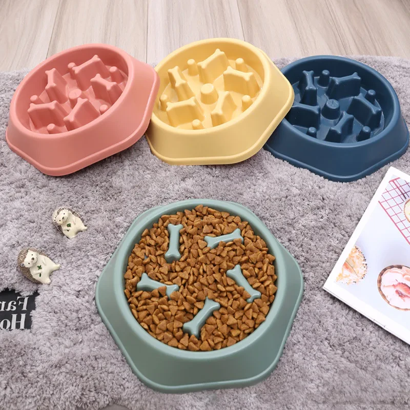 Pet Pace Feeder Bowl