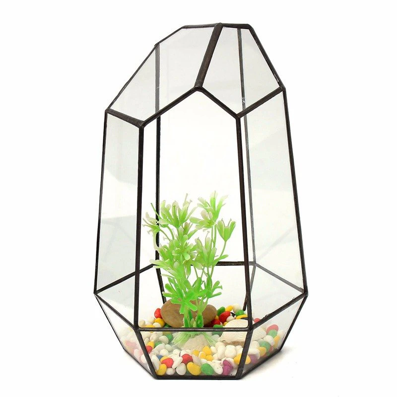 Geometric Glass Terarrium