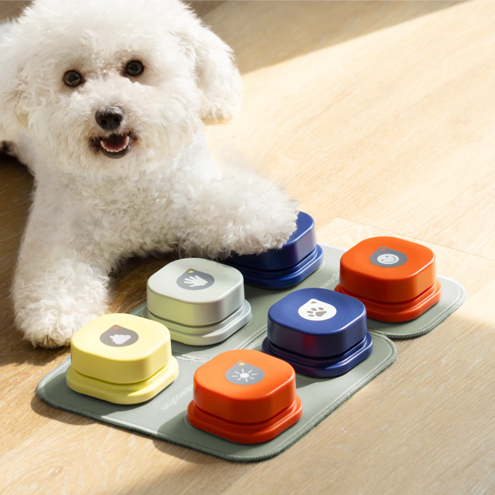 Dog Communication Buttons