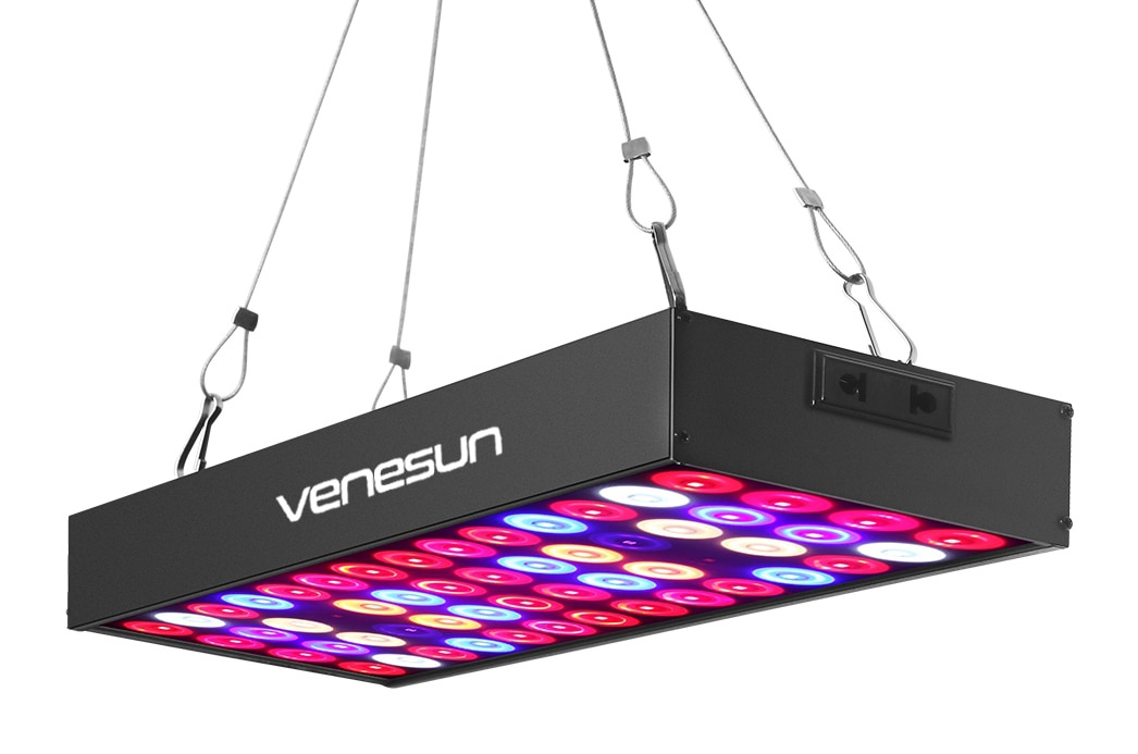 Indoor LED Grow Lamps