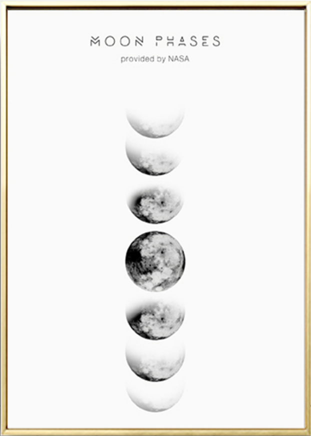 Moon Phases Wall Art