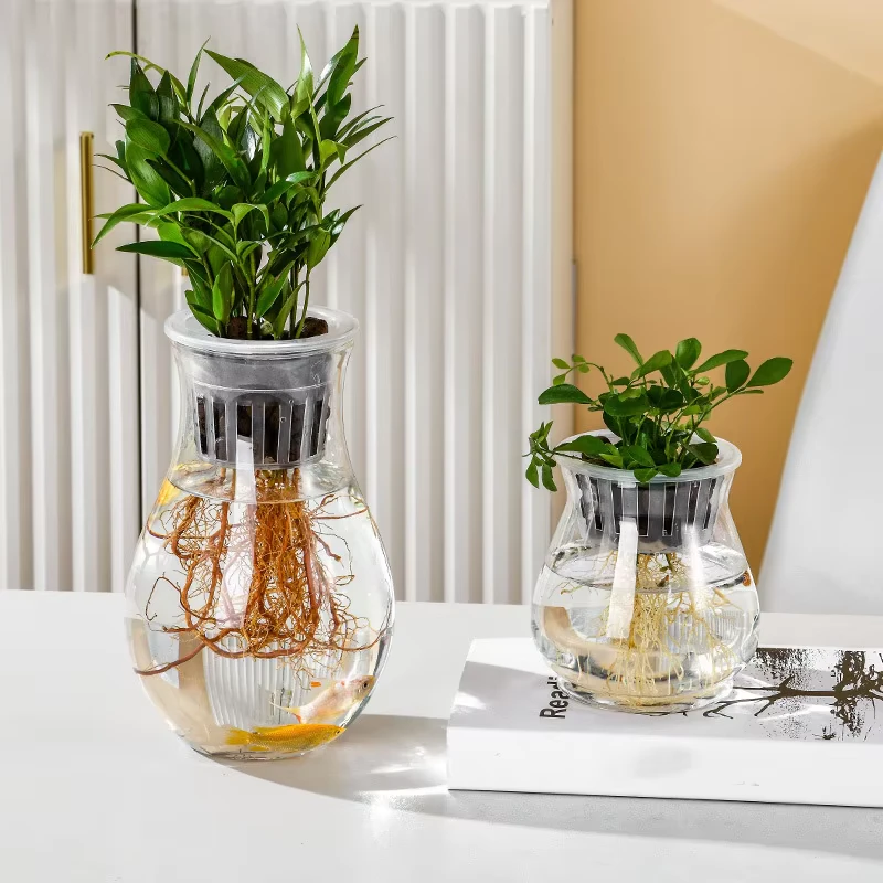 Transparent Hydroponic Vase