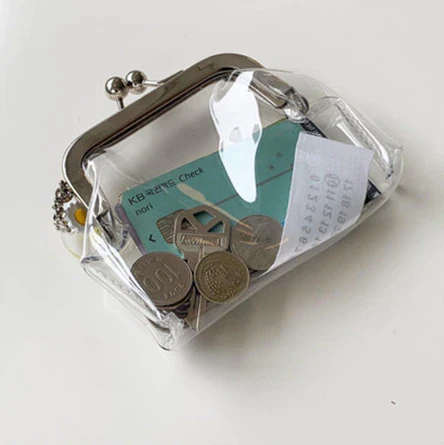 Transparent Purse