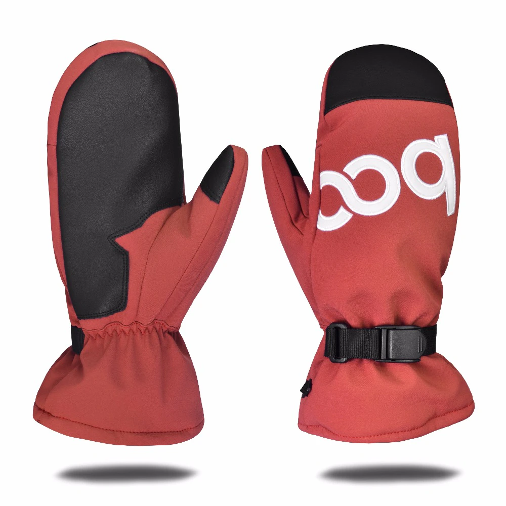Ski Gloves