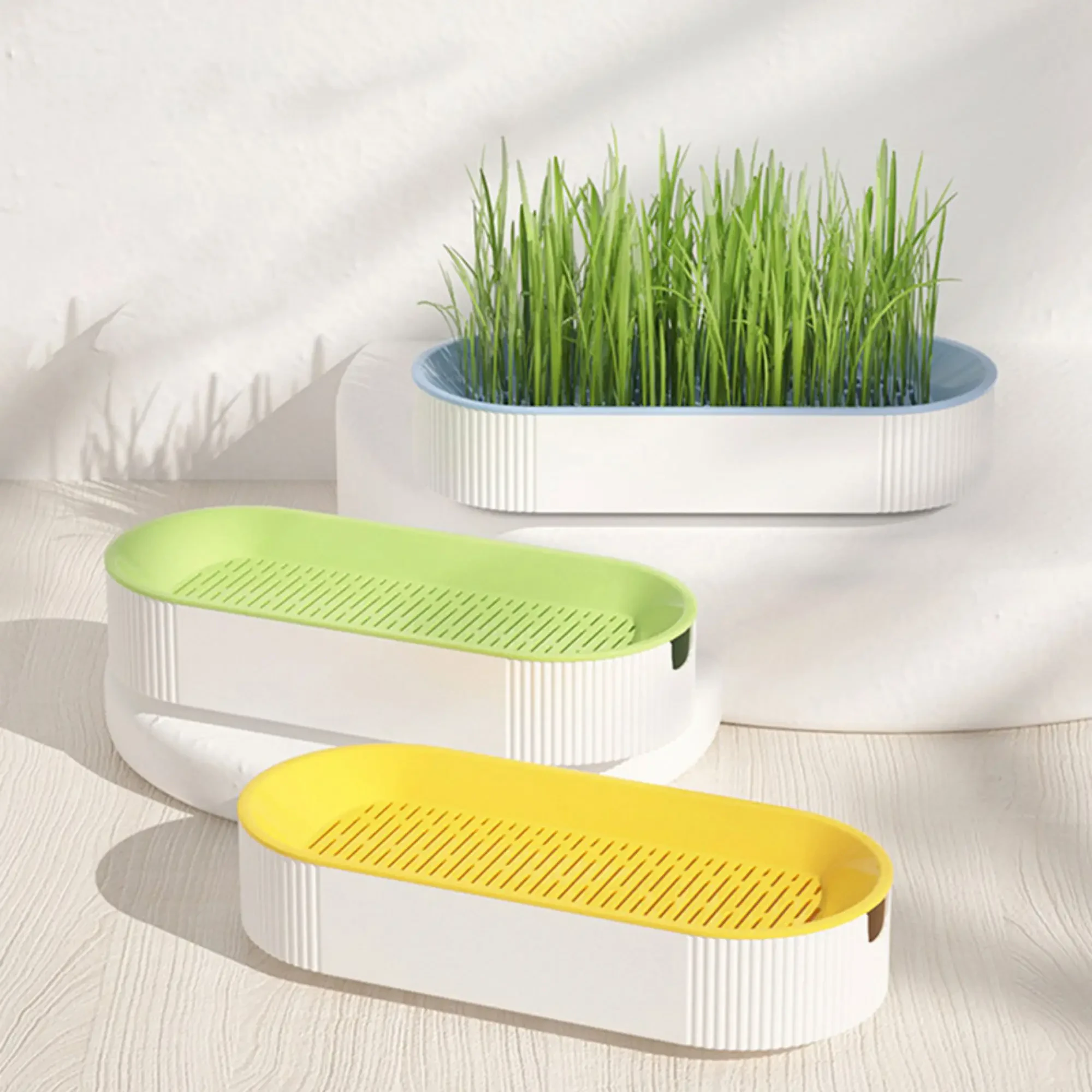 Hydroponic Cat Grass Planter