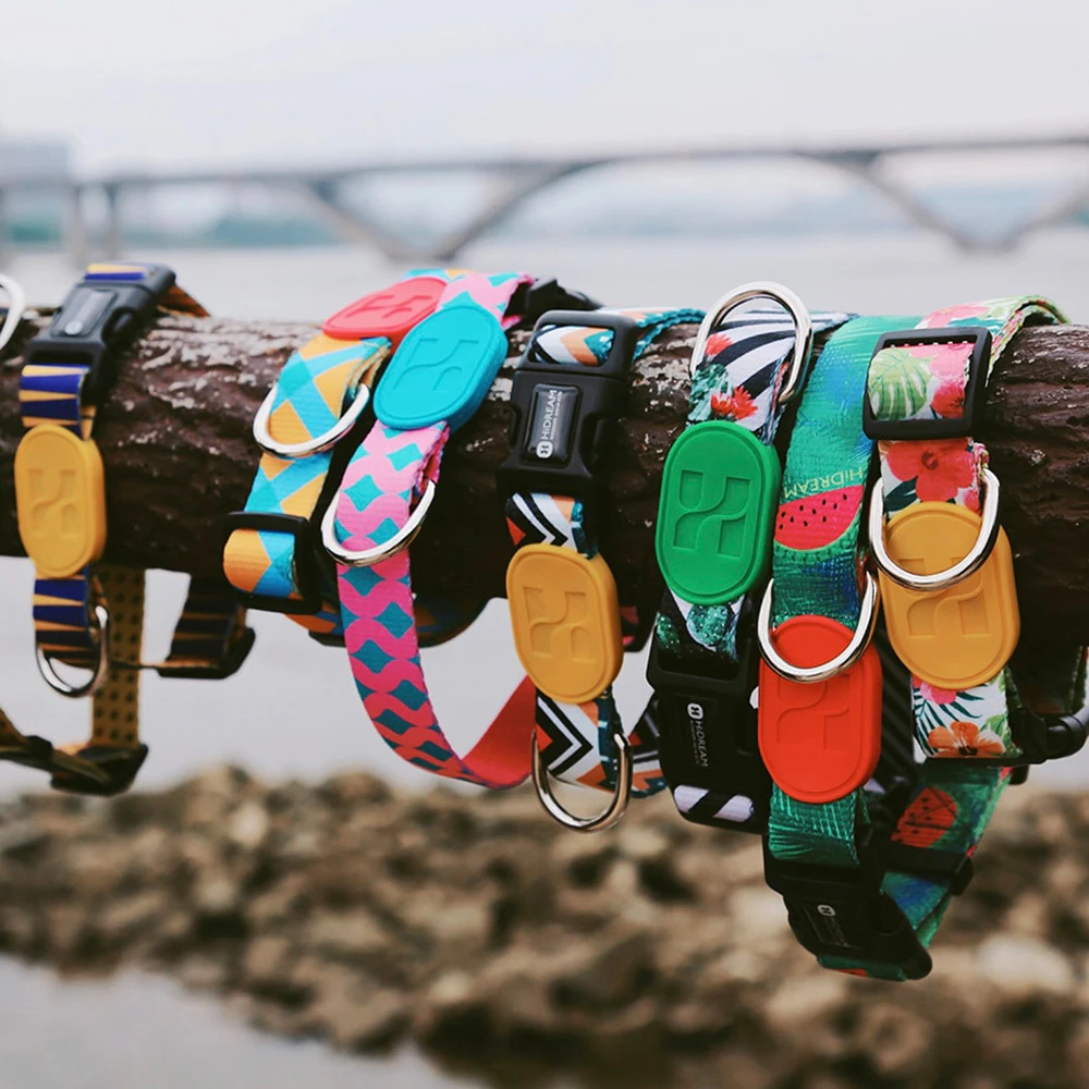 Pattern Dog Collar