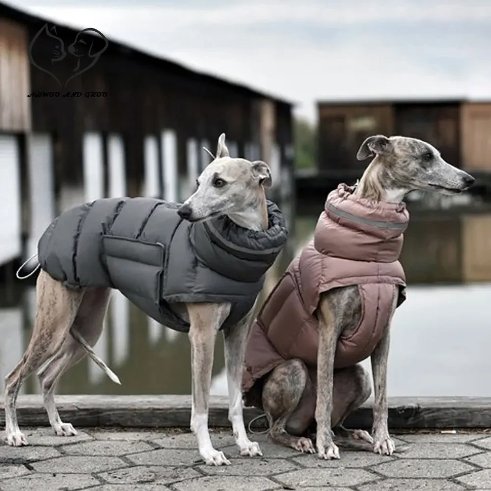 Padded Dog Jacket
