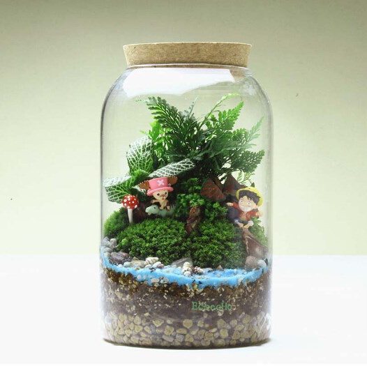 DIY Terrarium Vase