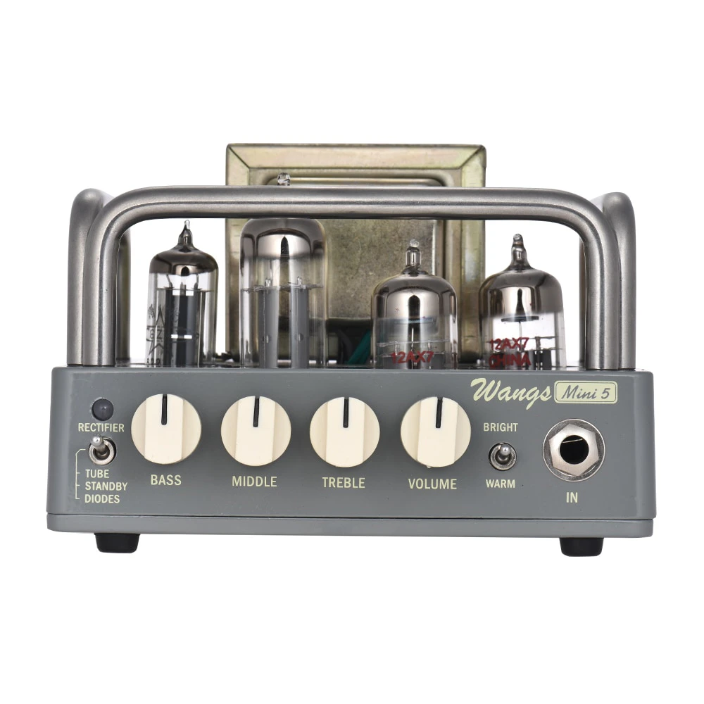 5W Valve Guitar Amplifier