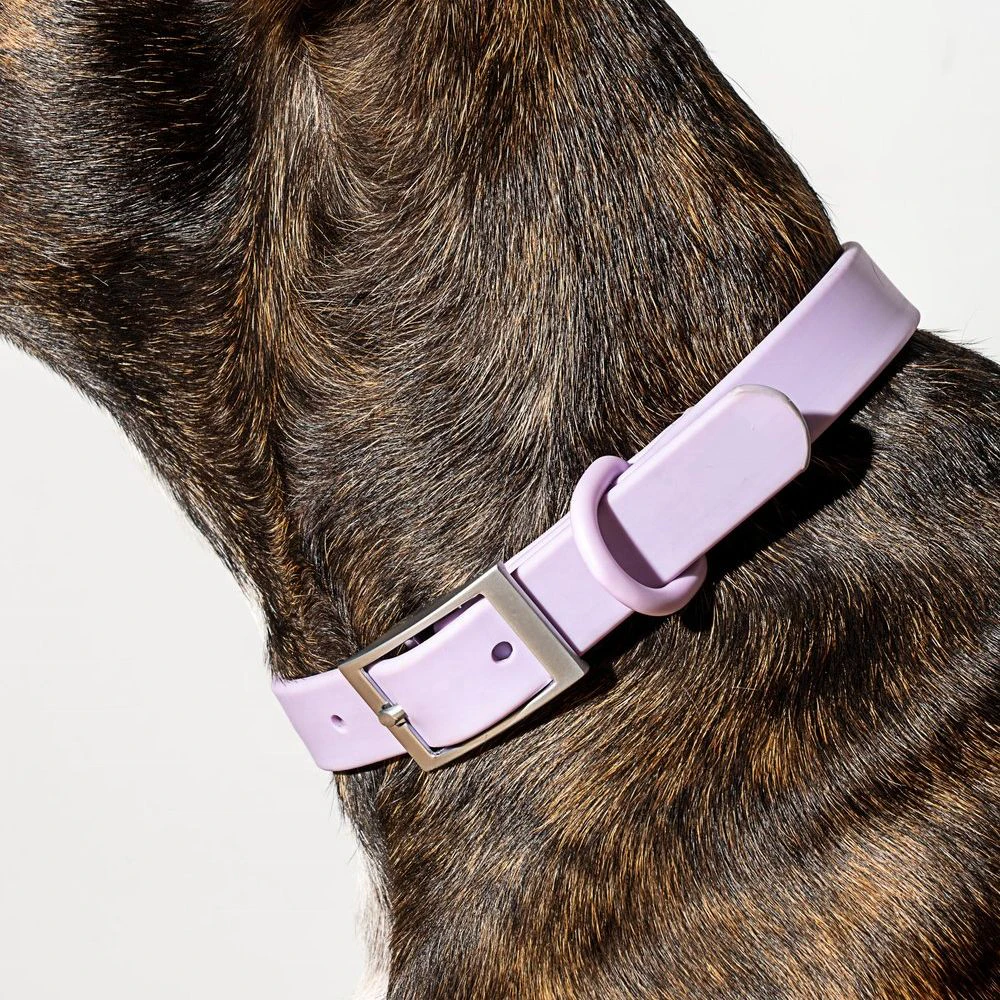 Soft PVC Dog Collar