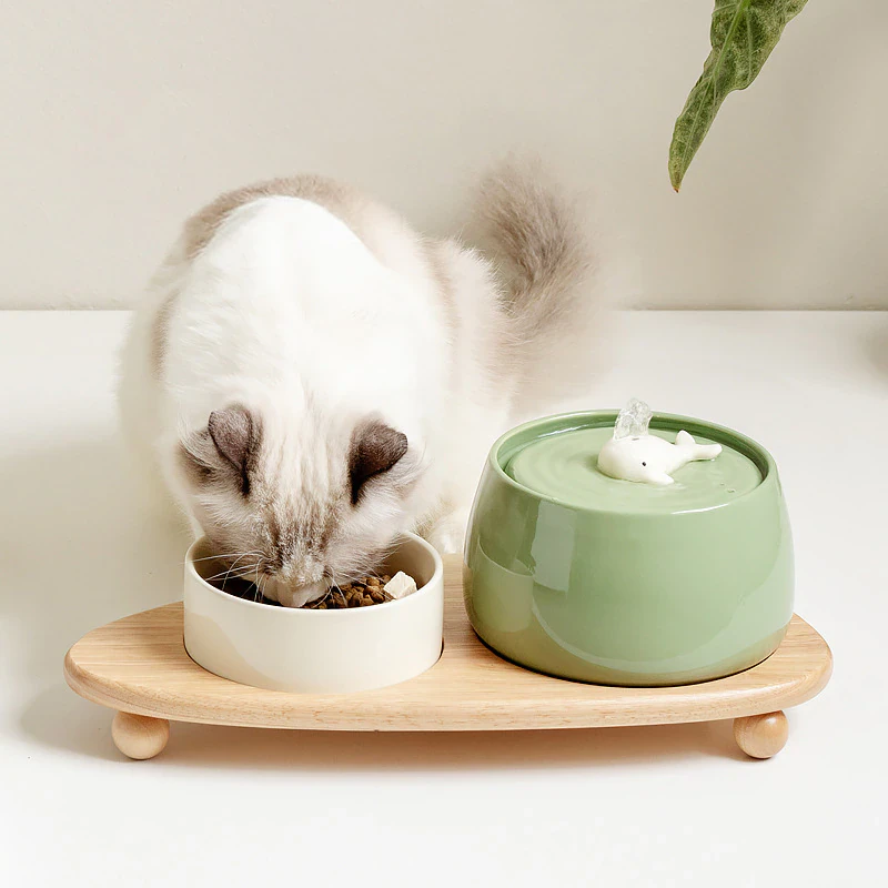 Ceramic Whale Cat Fountain