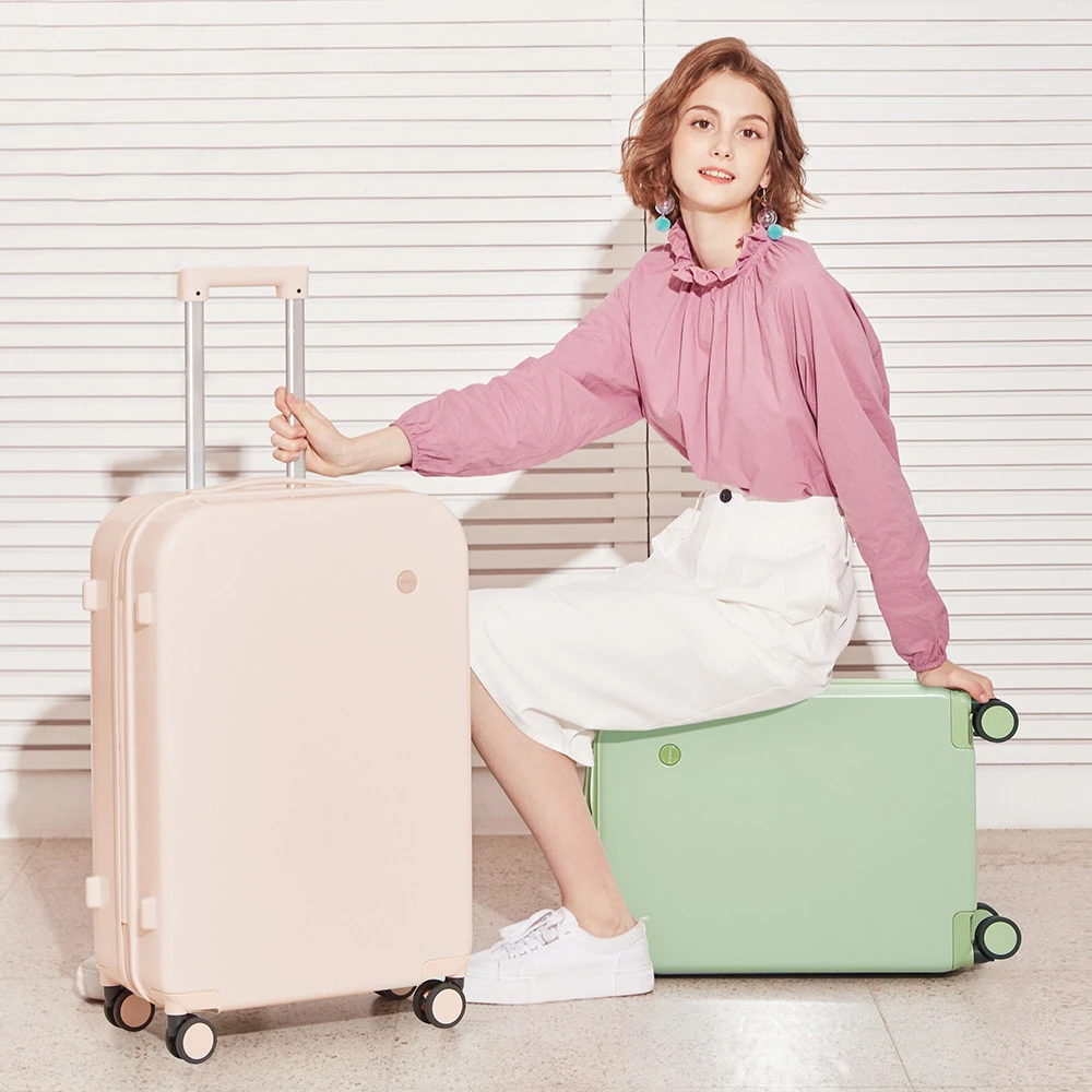 Roller Luggage Bag