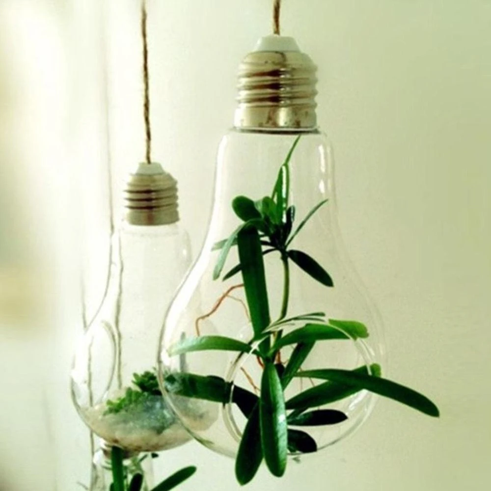 Glass Bulb Plant Vase
