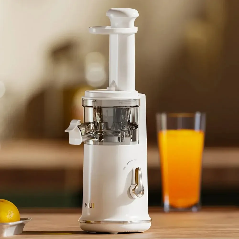 Mini Slow Juicer