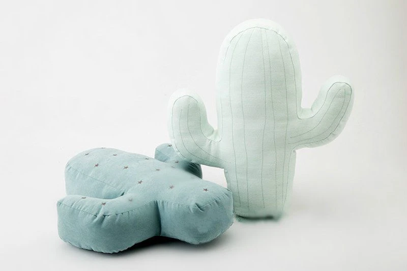 Cactus Cushions