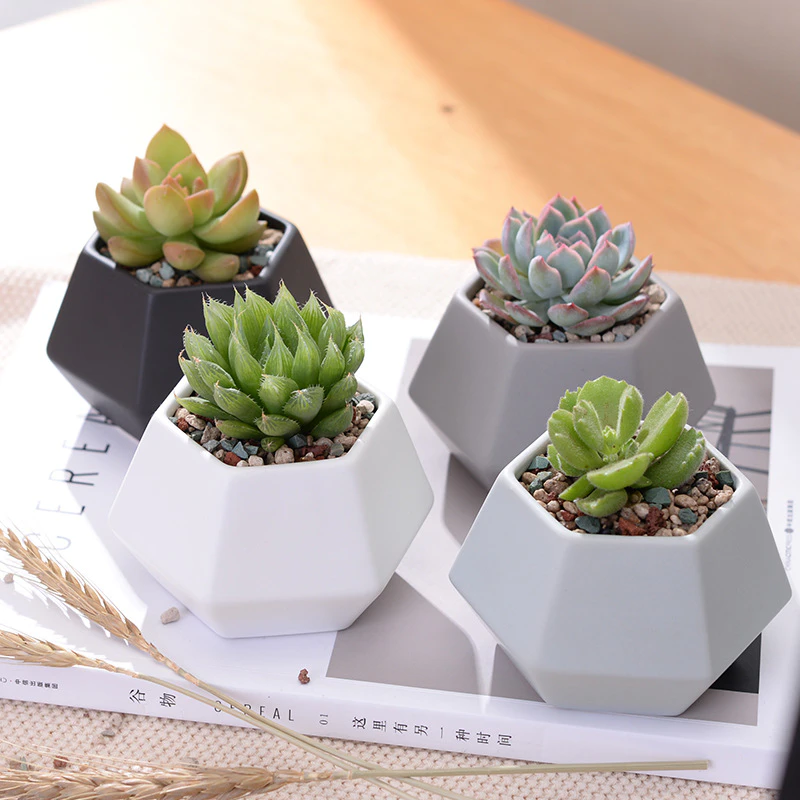 Mini Geometric Planters