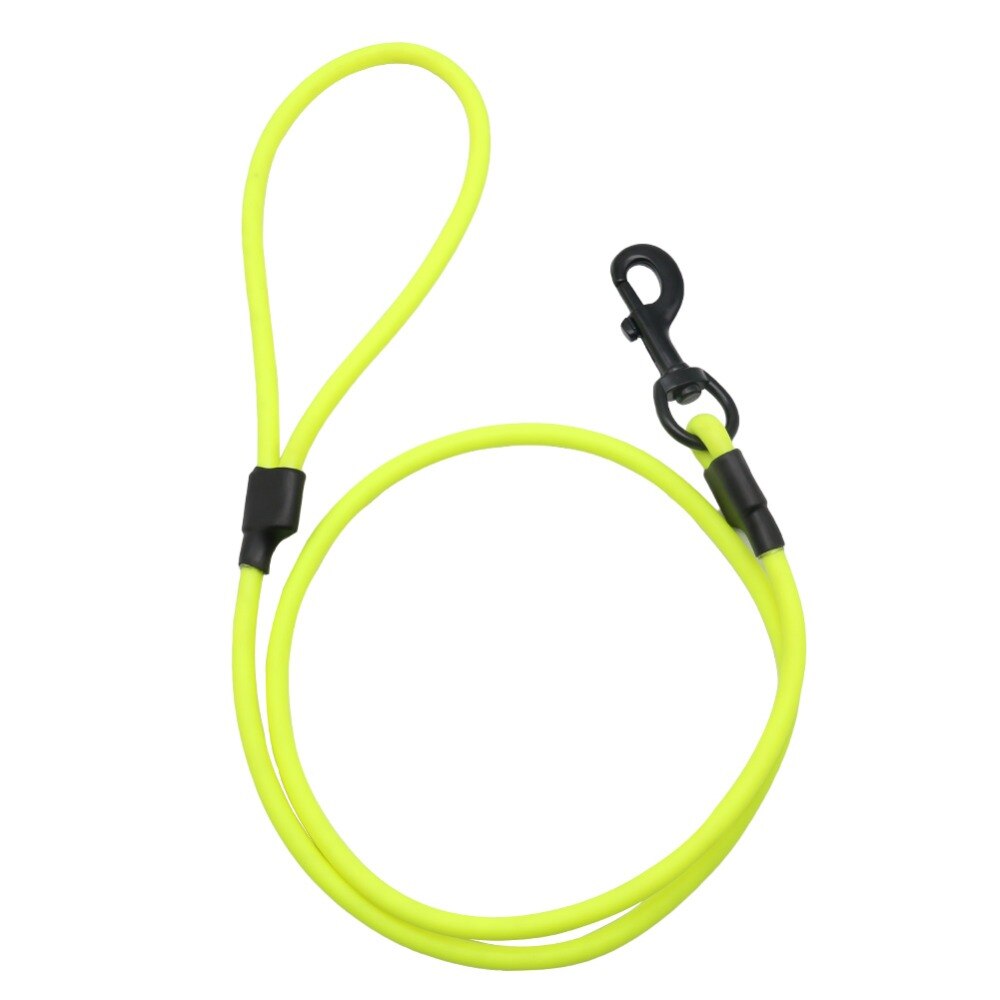 PVC Neon Dog Leash