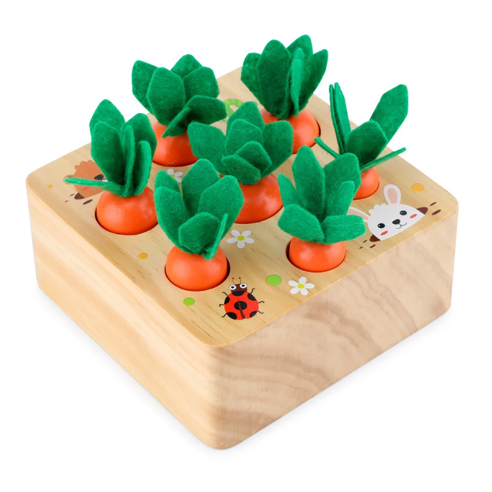 Carrot Pulling Block Toy