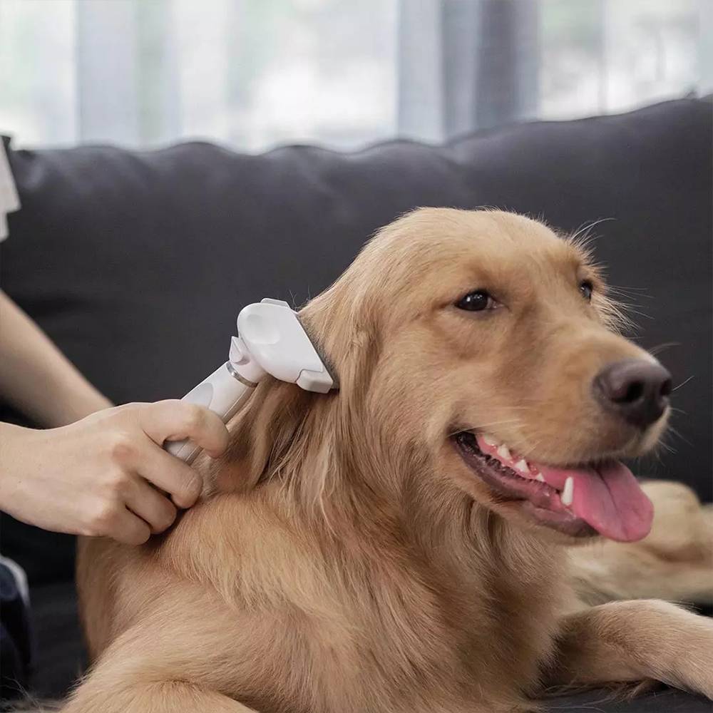 Pet Grooming Trimmer