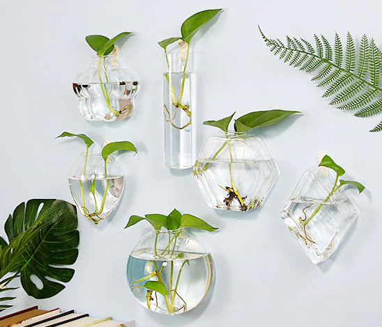 Glass Wall Planter Tanks