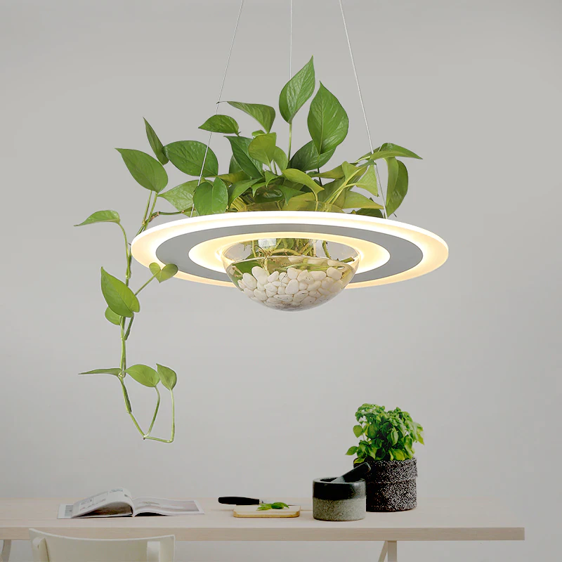 Round LED Pendant Plant Light