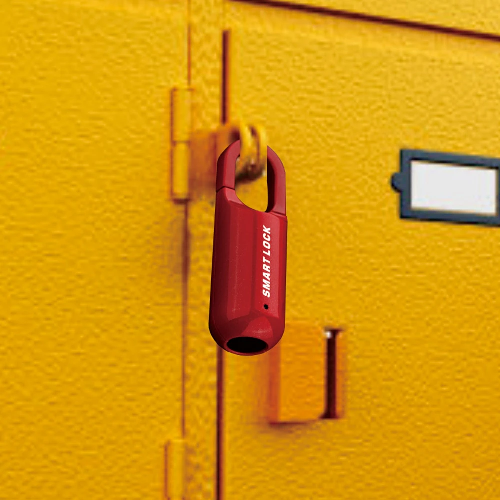 Mini Fingerprint Smart Lock