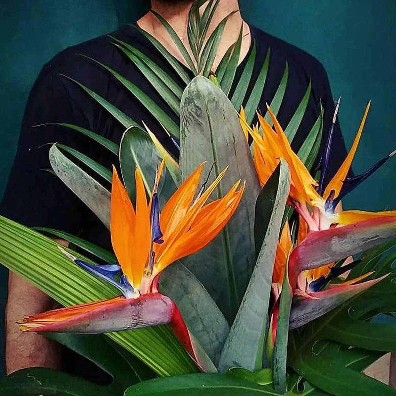 Faux Birds of Paradise