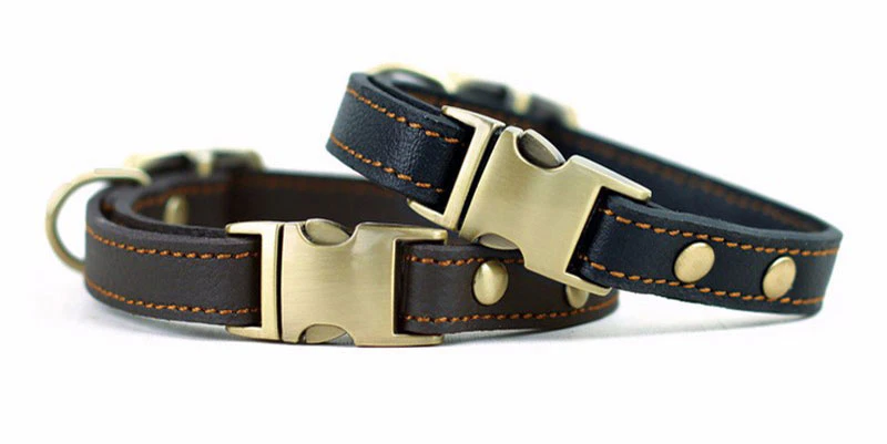 Leather Dog Collar