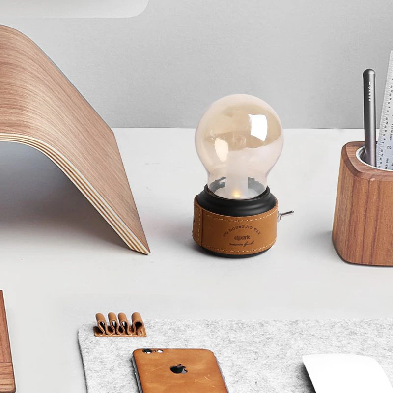 Leather Desktop Bulb Lamp