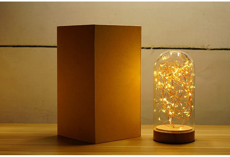 LED String Lights in Glass Dome
