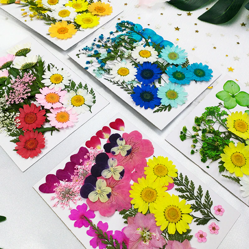 Dried Flowers