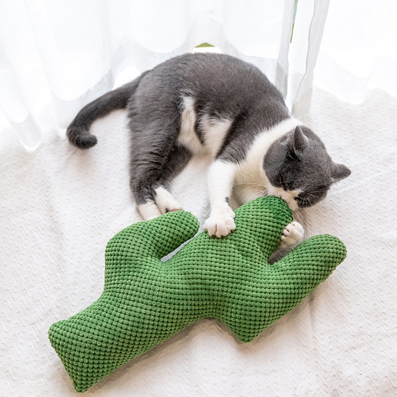 Catnip Cactus Cat Toy